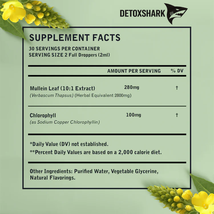 Mullein Leaf Extract